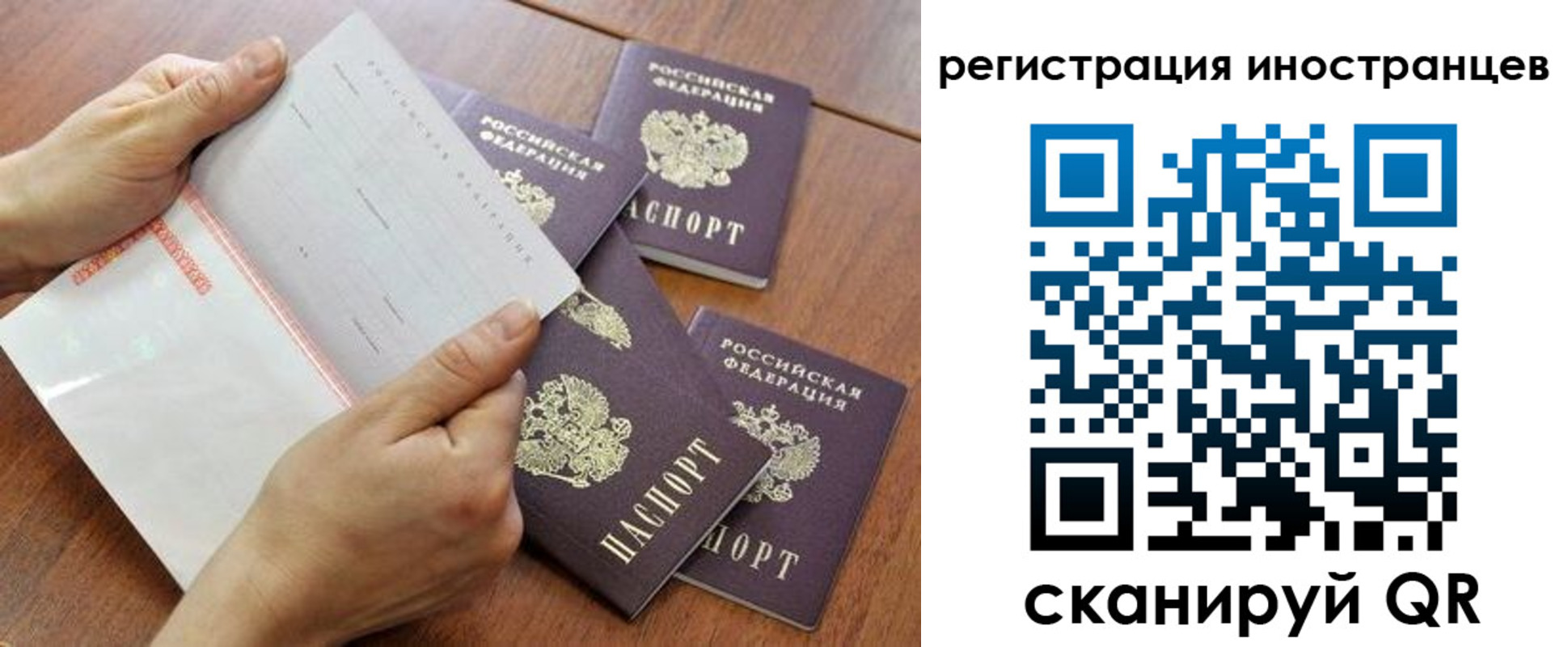 прописка поиск в Карачеве